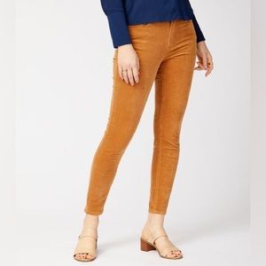Nanette Lepore | Brown Sugar Corduroy Skinny Pants - Women 6/28
